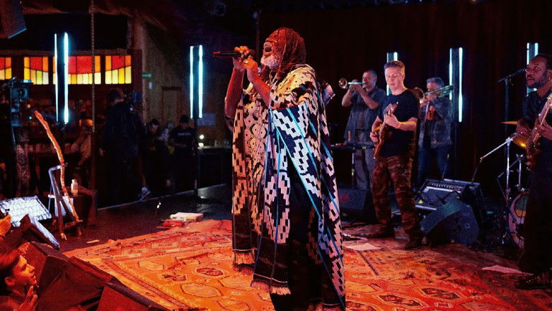 кадр из фильма Tiken Jah Fakoly - Les Concerts Volants