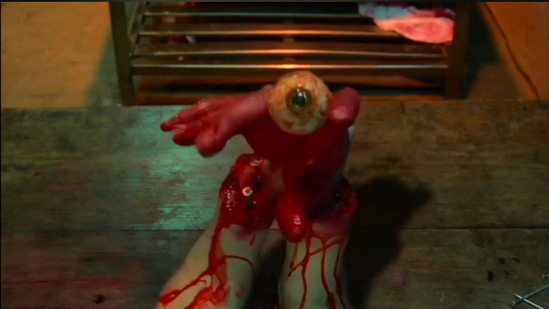 кадр из фильма 吸血少女対少女フランケン