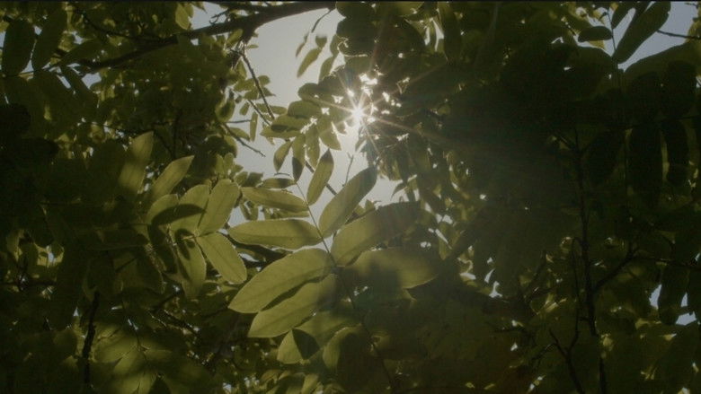 кадр из фильма Halo At Your Head