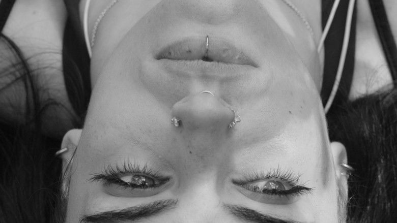 кадр из фильма Pavo Cristatus