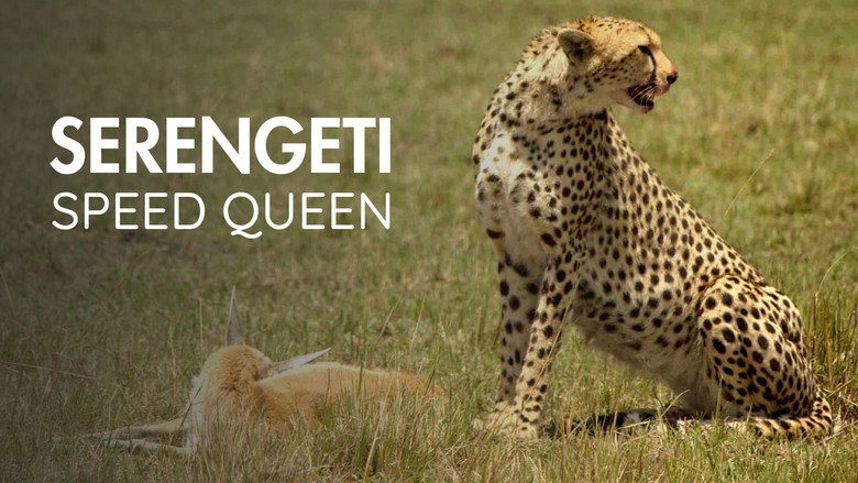 кадр из фильма Serengeti Speed Queen
