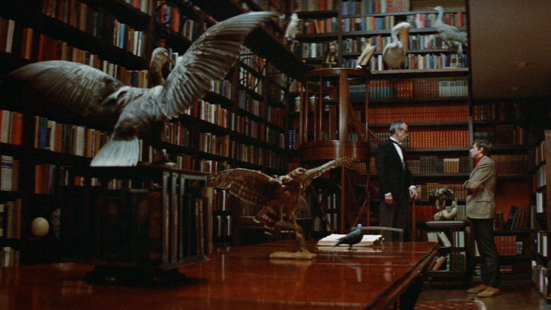 кадр из фильма Брюстер МакКлауд