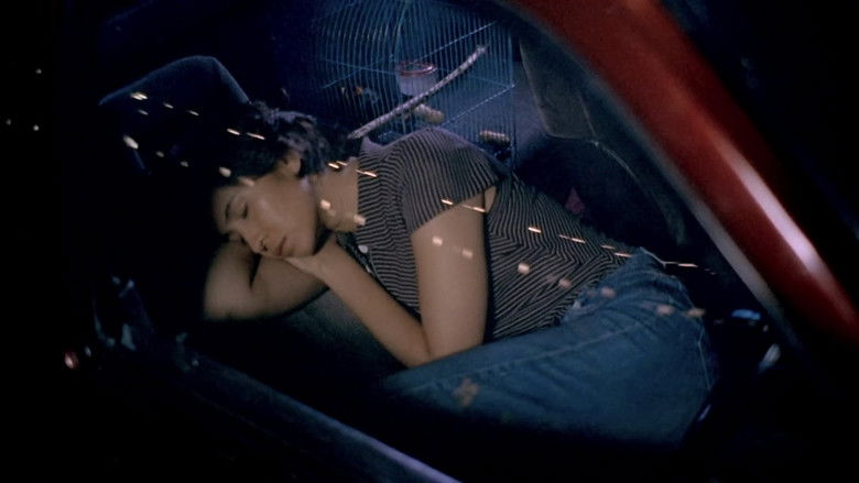 кадр из фильма Шесть Девять