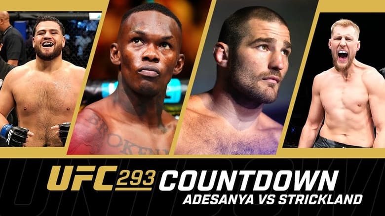 кадр из фильма UFC 293 Countdown