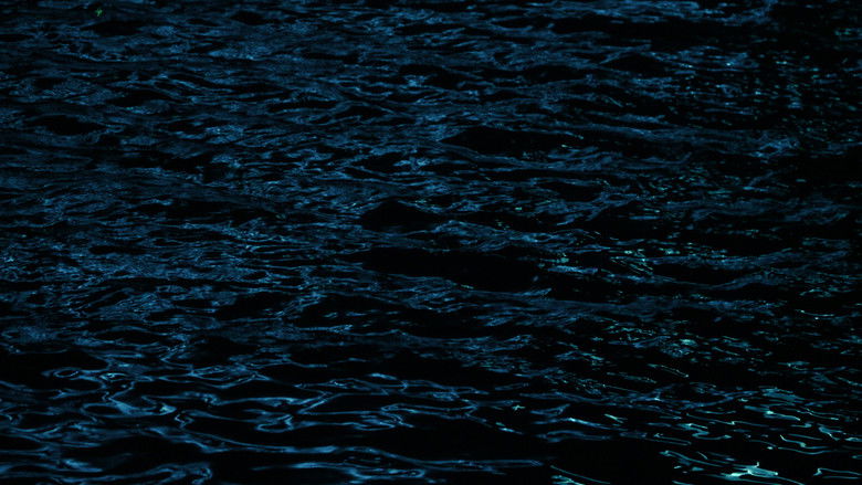 кадр из фильма When She Departed