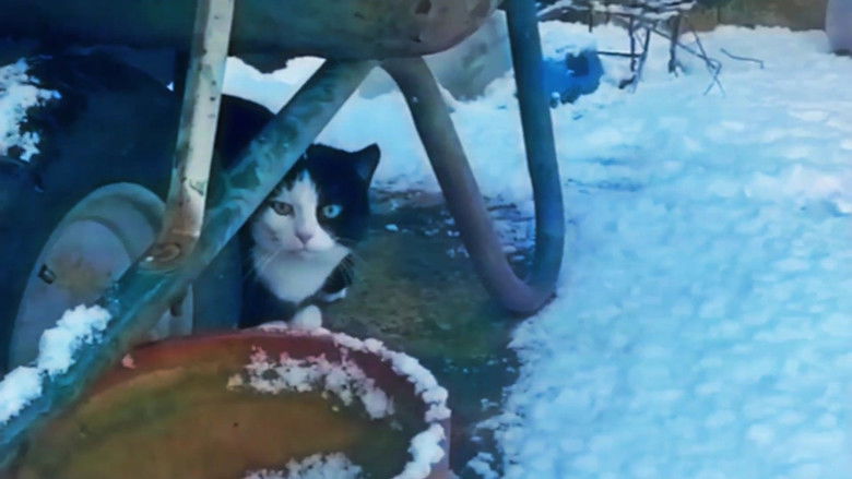 кадр из фильма Vague Void