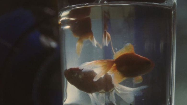 кадр из фильма 贅沢な骨