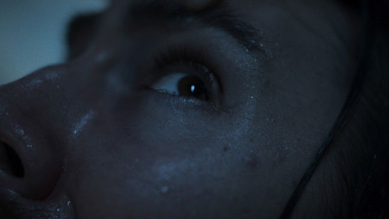 кадр из фильма The Dysphoria