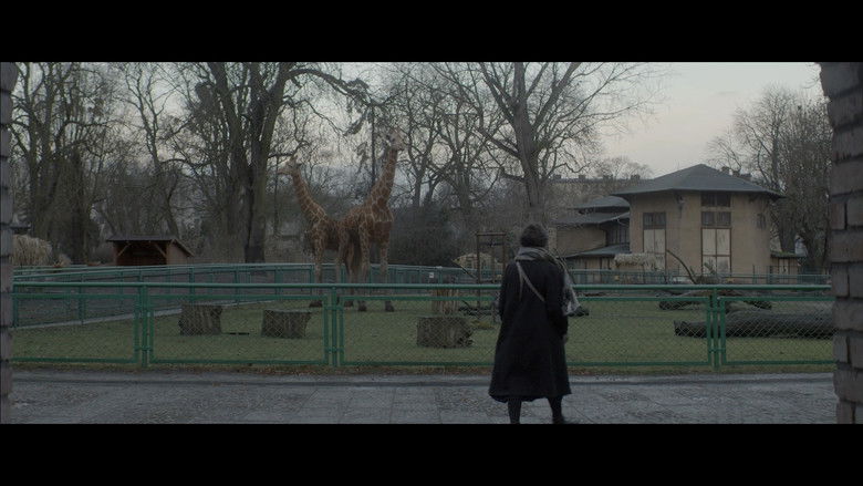 кадр из фильма Анатолийский леопард