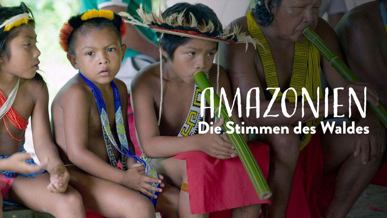 кадр из фильма Amazonie, les murmures de la forêt