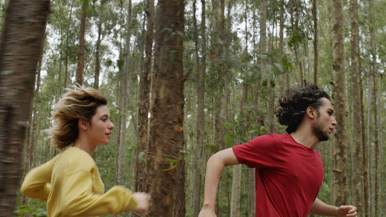 кадр из фильма Fragma