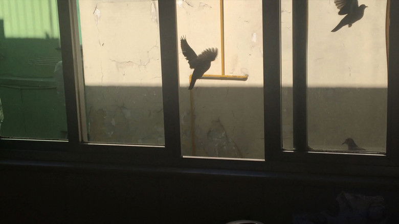 кадр из фильма O Dia da Posse