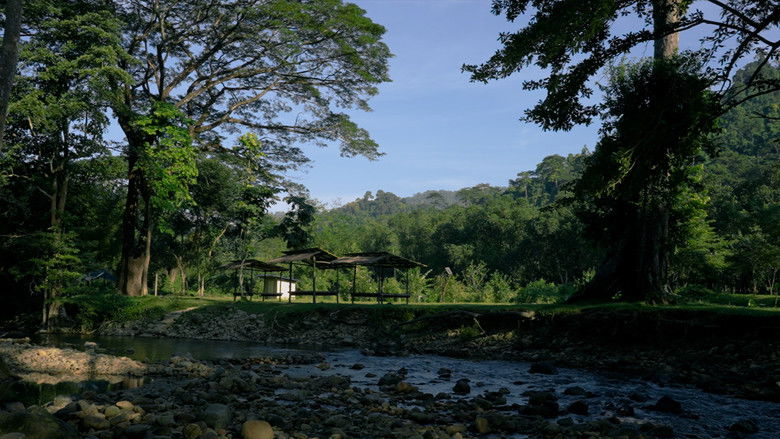 кадр из фильма TEARS OF LEGACY