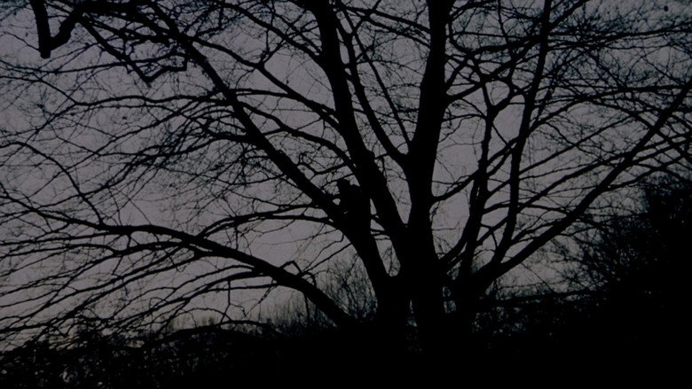 кадр из фильма Рождение