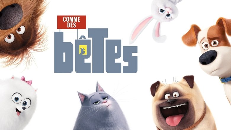 кадр из фильма Тайная жизнь домашних животных