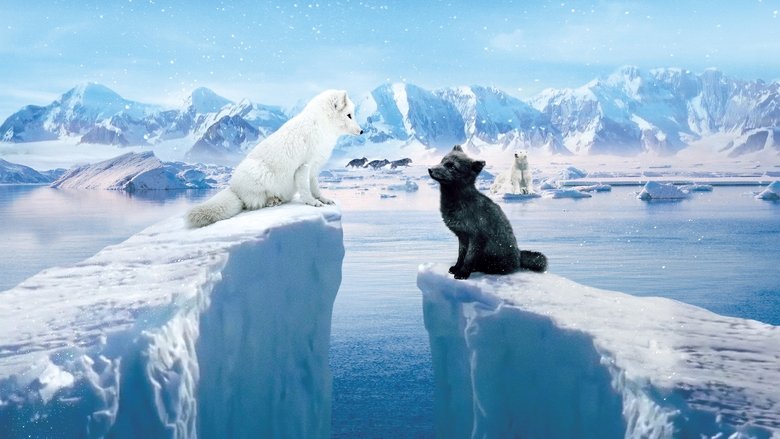 Кина и Юк: Пушистые приключения