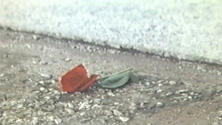 кадр из фильма 国際線スチュワーデス　官能飛行