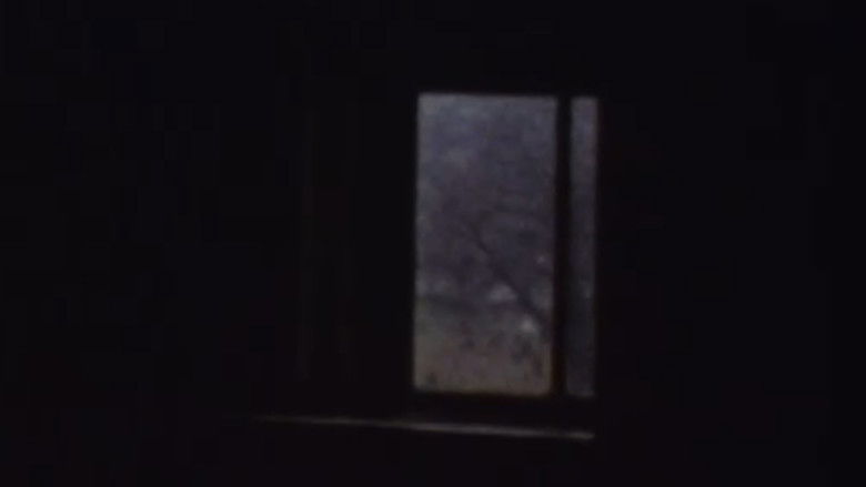 кадр из фильма Nest