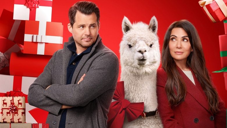 кадр из фильма We Wish You a Married Christmas