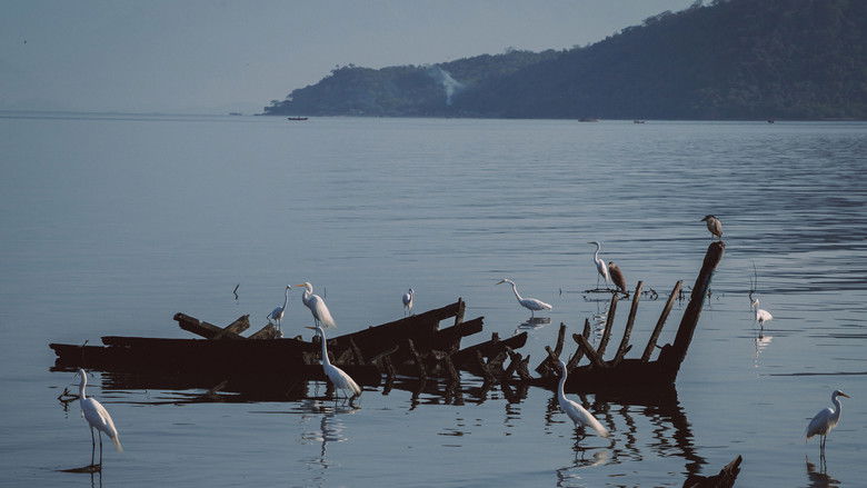 кадр из фильма Antes do Último Adeus