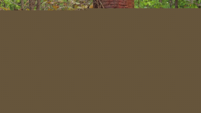 кадр из фильма কর্ণসুবর্ণের গুপ্তধন