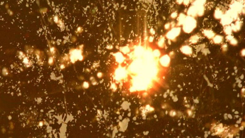 кадр из фильма Elements of Nothing