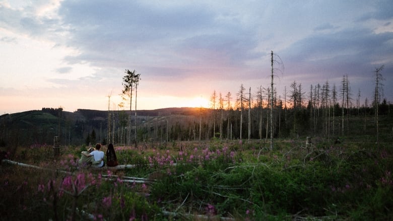 кадр из фильма niemand wie ihr