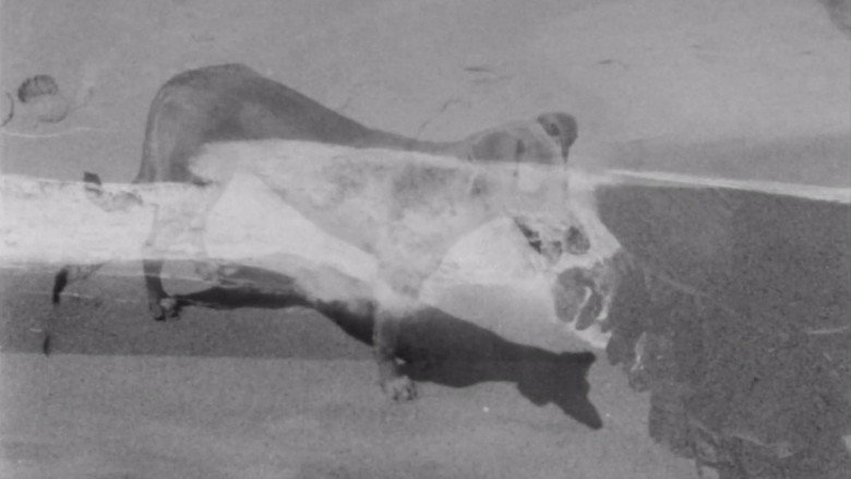 кадр из фильма Cabo San Lucas