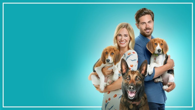 кадр из фильма Хвостатая любовь