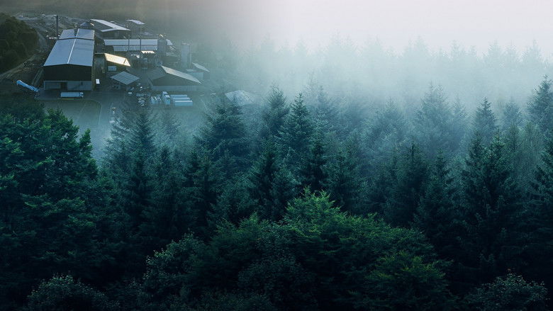 кадр из фильма Alles auf Grün – Dieser Weg führt ins Morgen