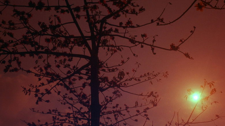 кадр из фильма Приворожённый