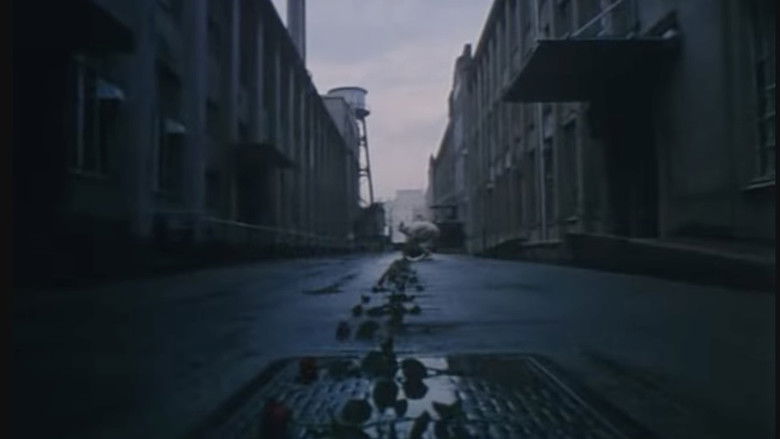 кадр из фильма Пикник