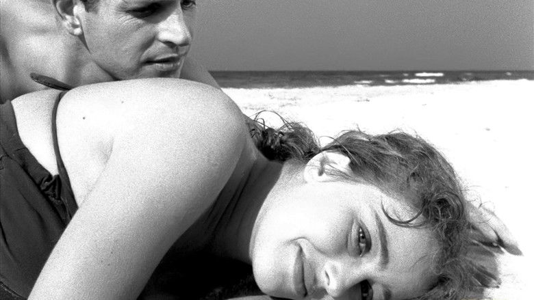 кадр из фильма Wolne miasto