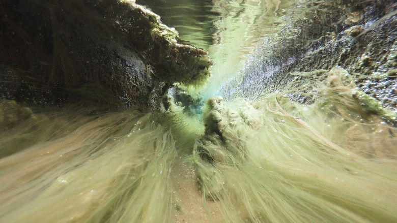 кадр из фильма Поток VIII