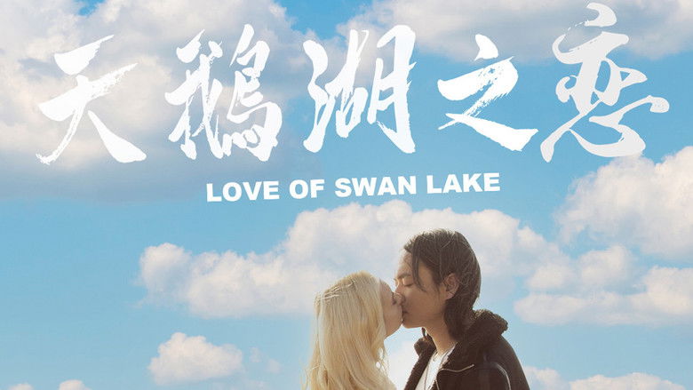 天鹅湖之恋