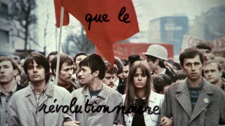 кадр из фильма Радость познания