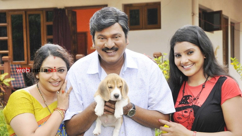 టామీ