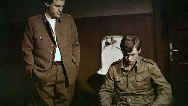 кадр из фильма Wierne blizny