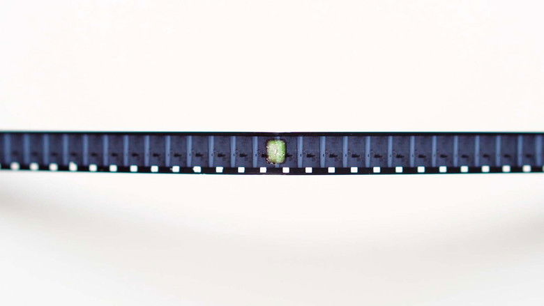 кадр из фильма Bibis de 14