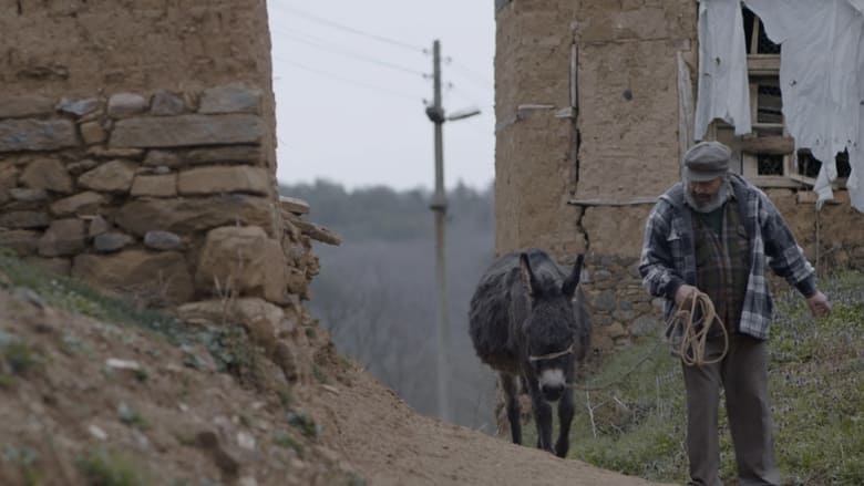 кадр из фильма Магаре