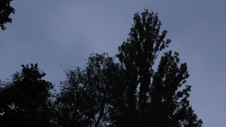 кадр из фильма Newton's cradle