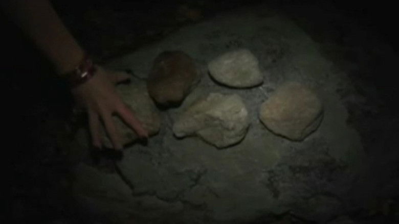 кадр из фильма Under the Ravens Wing