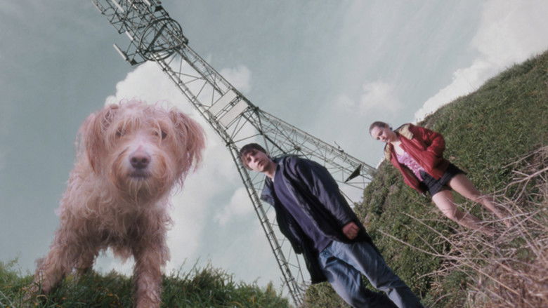 кадр из фильма Dog