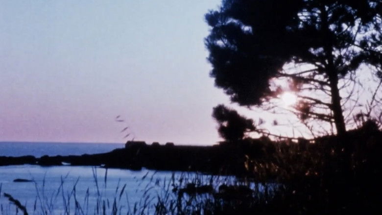 кадр из фильма Matter of Clarity