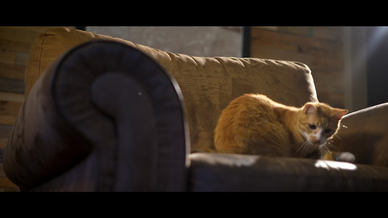 кадр из фильма Kitman