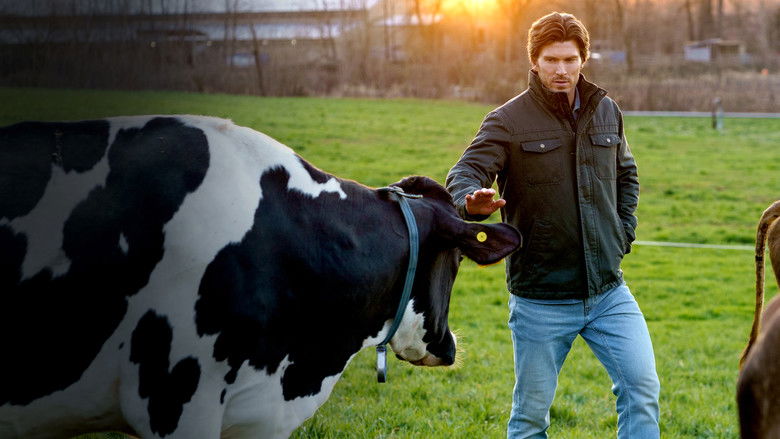 кадр из фильма По прогнозу - любовь