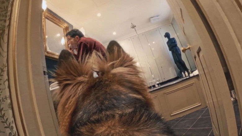 кадр из фильма Blondi