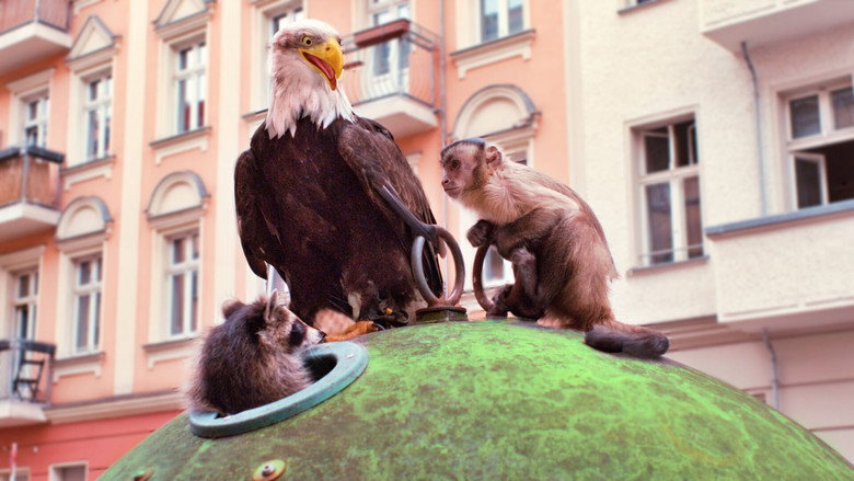 кадр из фильма Побег из зоопарка