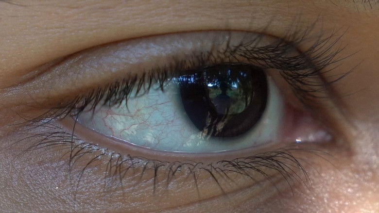 кадр из фильма مرثية روح