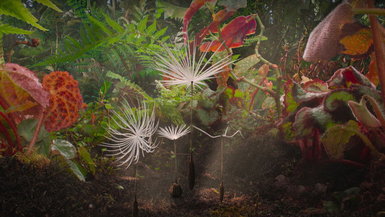 кадр из фильма Planètes